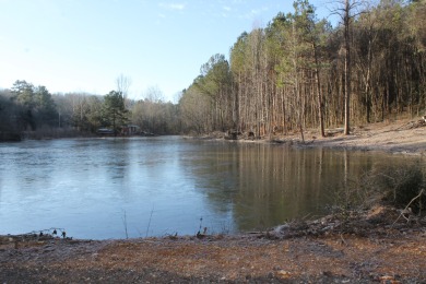 Lake Acreage For Sale in Rock Spring, Georgia