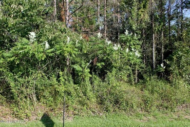 Last Lake front property in Mallard Lakes. This property is on - photo 2
