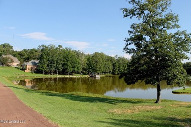 Last Lake front property in Mallard Lakes. This property is on - photo 3