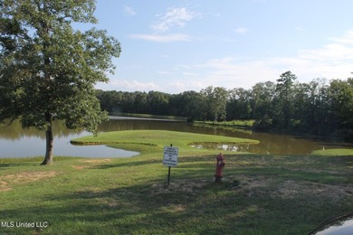Last Lake front property in Mallard Lakes. This property is on - photo 4