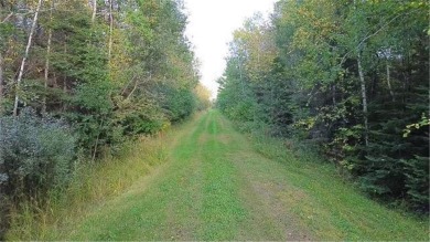 Lake Superior - St. Louis County Acreage For Sale in Lakewood Twp Minnesota