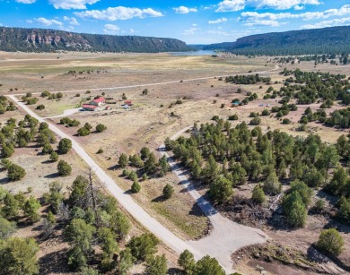 Ramah Reservoir Acreage For Sale in Ramah New Mexico