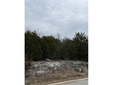 Table Rock Lake Lot For Sale in Hollister Missouri