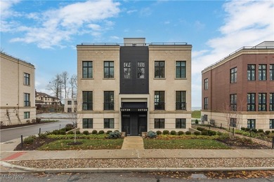 Nestled along the shores of Lake Erie in the exclusive 700 Lake - photo 2
