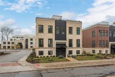 Nestled along the shores of Lake Erie in the exclusive 700 Lake - photo 3