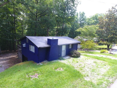 Turn Key Lake Cumberland Cottage on Large Lot w/ Storage - photo 1
