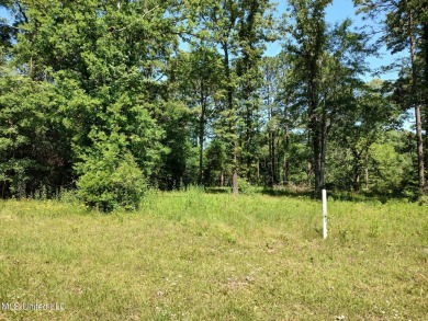 Lake Hillsdale Lot For Sale in Lumberton Mississippi