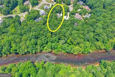 LOCATION! Rare Chattahoochee River front Estate on a private - photo 4