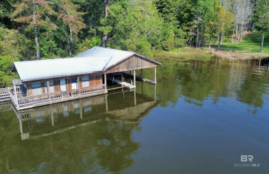 Lake Acreage For Sale in Andalusia, Alabama
