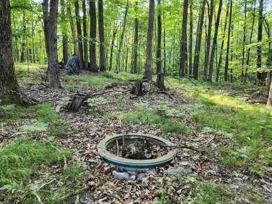 (private lake, pond, creek) Lot For Sale in Farwell Michigan