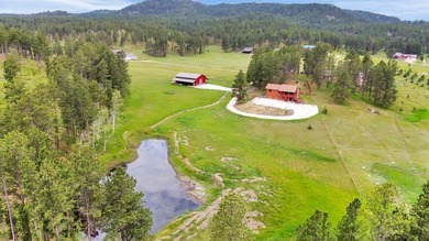 (private lake, pond, creek) Home For Sale in Custer South Dakota