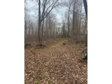 Discover 1.6 sprawling acres on the highly sought-after Tiger - photo 11