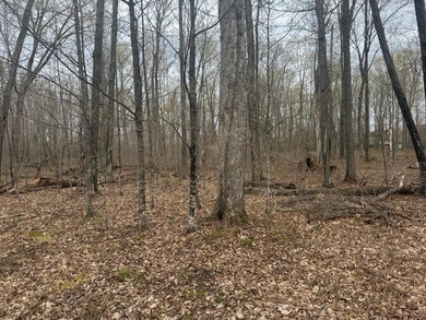 Discover 1.6 sprawling acres on the highly sought-after Tiger - photo 12