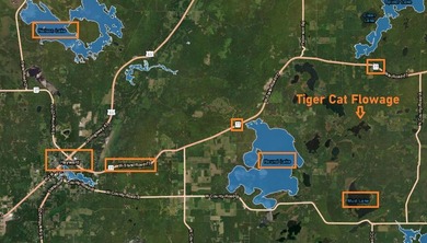 Discover 1.6 sprawling acres on the highly sought-after Tiger - photo 16