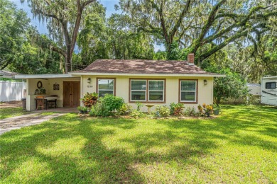 Lake Home For Sale in Ocklawaha, Florida