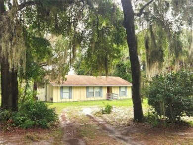 (private lake, pond, creek) Home For Sale in Hawthorne Florida