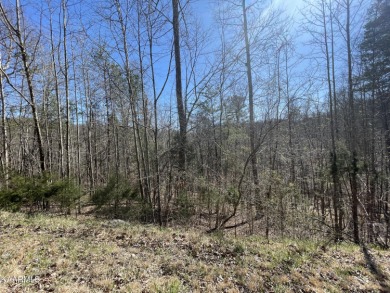 Lake Lot Off Market in Jacksboro, Tennessee