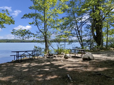 A truly rare offering, this 117A+- acre waterfront estate - photo 16