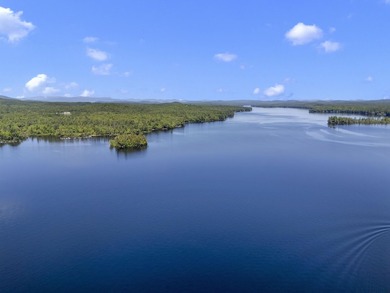 A truly rare offering, this 117A+- acre waterfront estate - photo 20