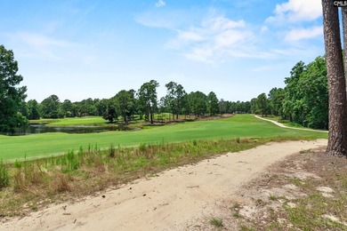 Resort living & golfers paradise; move-in ready; many upgrades - photo 41