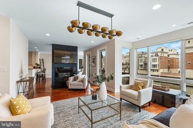 A truly exceptional opportunity to own one of Baltimore's most - photo 8