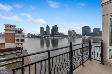 A truly exceptional opportunity to own one of Baltimore's most - photo 9