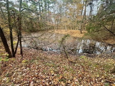 (private lake, pond, creek) Acreage For Sale in Cecil Arkansas