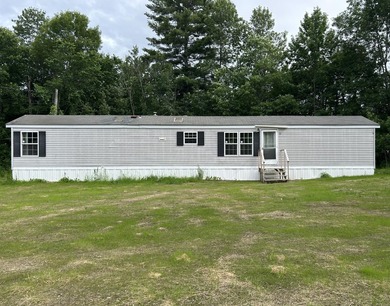 Just enough! 1998 Skyline single wide mobile home, two bedrooms - photo 25