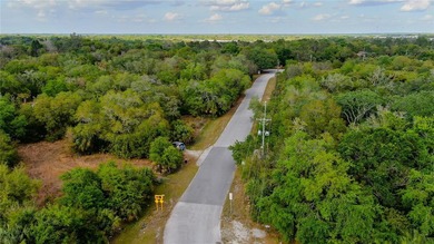 16.96 Acres on the Alafia River Prime Waterfront Development - photo 7