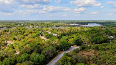 16.96 Acres on the Alafia River Prime Waterfront Development - photo 8