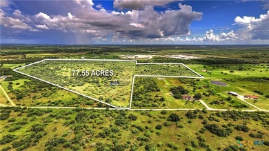 (private lake, pond, creek) Acreage For Sale in Nursery Texas