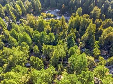Commute to Silicon Valley without giving up the peace and quiet - photo 17