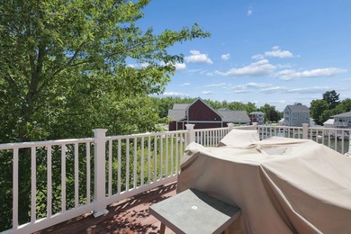 Lake Life at its Finest! This exceptional 3-story waterfront - photo 37