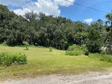 This is the spot, near new VA hospital and Amazon Just a short - photo 1