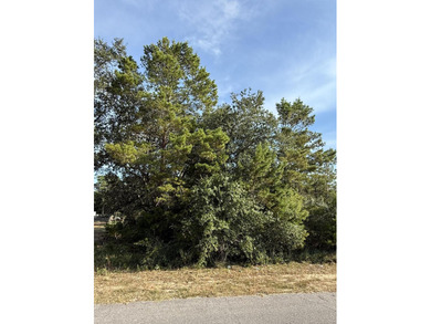 The perfect canvas for your dream home! This beautiful vacant - photo 1
