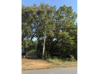 The perfect canvas for your dream home! This beautiful vacant - photo 2
