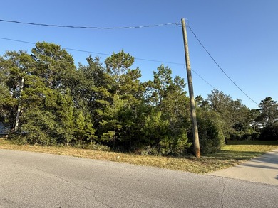 The perfect canvas for your dream home! This beautiful vacant - photo 3