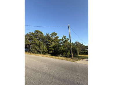 The perfect canvas for your dream home! This beautiful vacant - photo 4