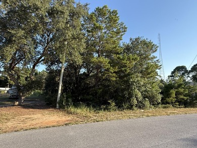 The perfect canvas for your dream home! This beautiful vacant - photo 5