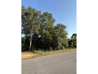 The perfect canvas for your dream home! This beautiful vacant - photo 6