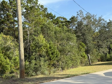 The perfect canvas for your dream home! This beautiful vacant - photo 10