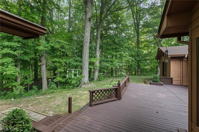 Sprawling ranch on 0.45 acres backing up to Metroparks in - photo 34