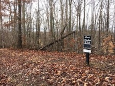 Welcome to Rock Harbor, on Norris Lake! - photo 13