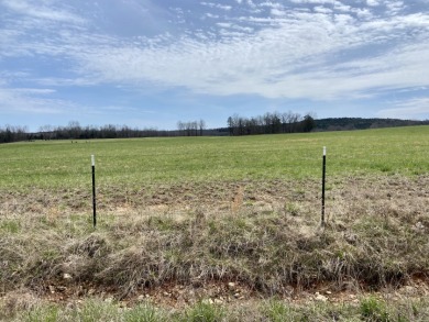 119 acres with well - Lake Acreage For Sale in Theodosia, Missouri