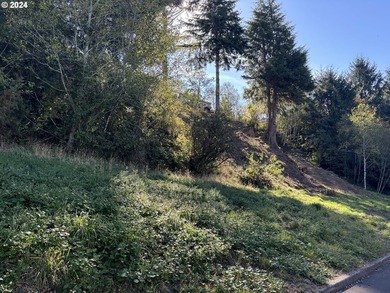 Fantastic views from this over 1/2 acre lot, located in - photo 3