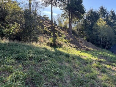 Fantastic views from this over 1/2 acre lot, located in - photo 4