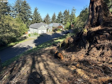 Fantastic views from this over 1/2 acre lot, located in - photo 5