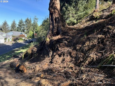 Fantastic views from this over 1/2 acre lot, located in - photo 6