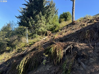 Fantastic views from this over 1/2 acre lot, located in - photo 8