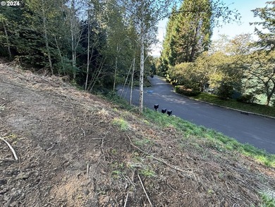 Fantastic views from this over 1/2 acre lot, located in - photo 9